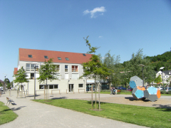 Image en-tête