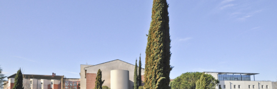 Image en-tête
