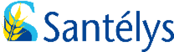 Image en-tête