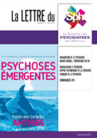 RADICALISATION ET PSYCHIATRIE : RAPPORT INTERMÉDIAIRE DE LA FÉDÉRATION FRANÇAISE DE LA PSYCHIATRIE