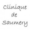 logo  Clinique de Saumery à Huisseau sur Cosson dans le département Loir-et-Cher en région Centre .