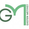 logo Clinique Gaston Métivet à Saint-Maur-des-Fossés, Val-de-Marne, Île-de-France.