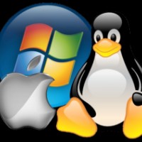 logo Techncien Superieur en Support Informatique