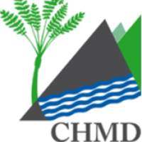 logo Centre Hospitalier Maurice Despinoy