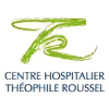 logo Centre Hospitalier Théophile Roussel (Florac)