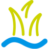 logo MAS d'Agencourt