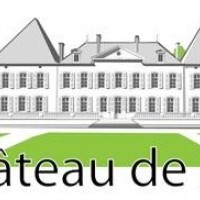 logo CLINIQUE DU CHATEAU DE PARSAY - BRIEUIL SUR CHIZÉ