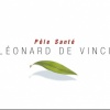 logo Pôle Santé Léonard de Vinci - Groupe MAGEO à Chambray-lès-Tours, Indre-et-Loire, Centre.