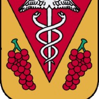 logo Mairie de Mercurey en Saône-et-Loire (71)