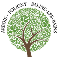 logo CH Salins Les Bains