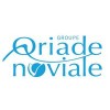 logo Groupe Oriade 