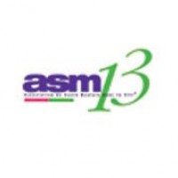 logo Centre Alfred Binet - ASM 13