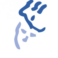 logo Pôle de Santé Privé du Diaconat-Centre Alsace