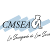 logo CMSEA IMPRO LA HORGNE