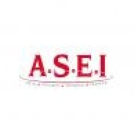 logo ASEI - RAMONVILLE SAINT-AGNE