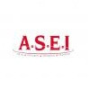 logo ASEI - RAMONVILLE SAINT-AGNE