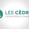 logo CMC LES CEDRES