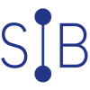 logo GIP SIB DE RENNES