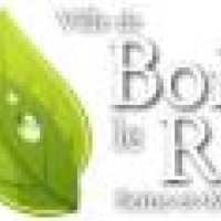 logo MAIRIE DE BOIS LE ROI