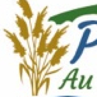 logo MAIRIE PICAUVILLE