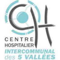 logo CHI DES 5 VALLEES