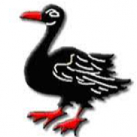 logo MAIRIE DE PFETTERHOUSE