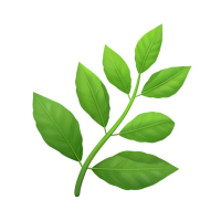 logo Fleurs