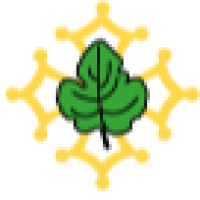 logo Clinique Mailhol