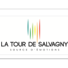 logo MAIRIE LA TOUR DE SALVAGNY