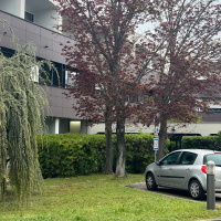 logo CABINET D'ELECTROMYOGRAPHIE DU DOCTEUR CAUTIELLO