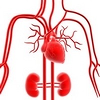 logo Chirurgien vasculaire - RÉSEAU SOCIAL PUBLIC