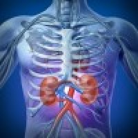 logo Médecin néphrologue - formations complémentaires