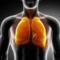 logo Médecin pneumologue - formations complémentaires