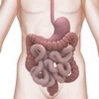 logo Médecin gastro-entérologue - RÉSEAU SOCIAL PUBLIC