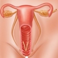 logo Médecin spécialiste en gynécologie obstétrique - RÉSEAU SOCIAL PUBLIC