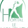 logo CH Le Montaigu