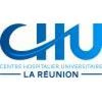 logo IFSI de Saint Denis - La Réunion