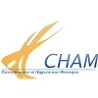 logo Centre Hospitalier de l'agglomération Montargoise à Amilly-Montargis, Loiret, Centre.