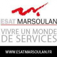 logo ESAT Henry Marsoulan