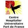 logo IFSI - Institut de formation en soins infirmiers - Fort-de-France