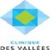 logo Clinique des Vallées-INICEA Groupe à Annemasse Haute-Savoie Rhône-Alpes