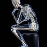 logo Pôle Imagerie Médicale