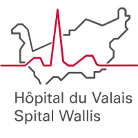 logo Hôpital du Valais, Canton du Valais, Suisse