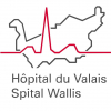 logo Hôpital du Valais, Canton du Valais, Suisse