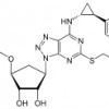 logo Pharmacocinétique et métabolisme des médicaments - RÉSEAU SOCIAL PUBLIC