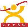 logo CEESO Lyon - Centre européen d'enseignement supérieur de l'ostéopathie - Lyon