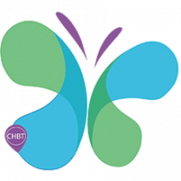 logo CH de la Basse-Terre