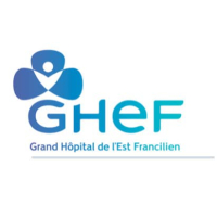 logo Centre Hospitalier de Marne-la-Vallée à Jossigny, Seine et Marne, Ile de France