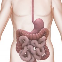 logo Médecin gastro-entérologue - RÉSEAU SOCIAL PRIVÉ