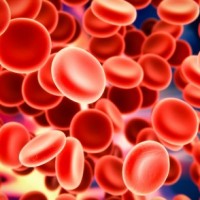 logo Médecin hématologue - RÉSEAU SOCIAL PRIVÉ